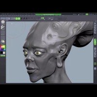 zbrush license manager
